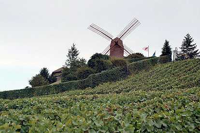 moulin_verzenay.jpg