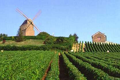 Moulin de Verzenay moulin_verzenay2.jpg